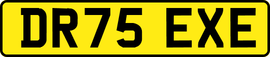 DR75EXE