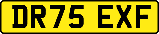 DR75EXF