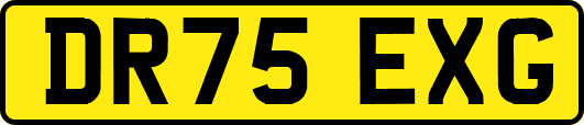 DR75EXG
