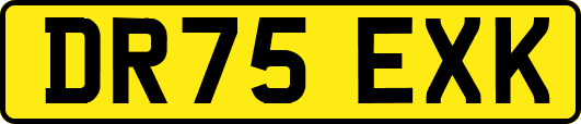 DR75EXK