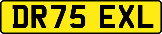DR75EXL