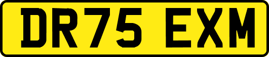 DR75EXM