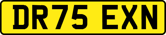 DR75EXN
