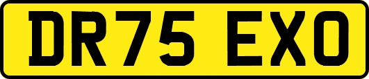 DR75EXO
