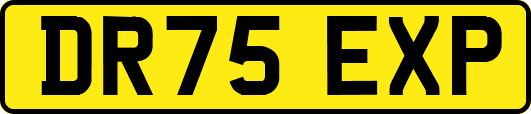 DR75EXP