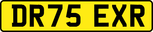DR75EXR