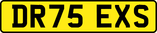 DR75EXS