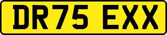 DR75EXX
