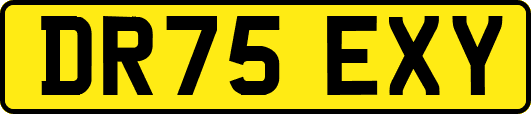 DR75EXY