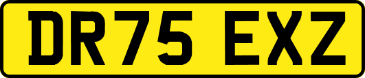 DR75EXZ