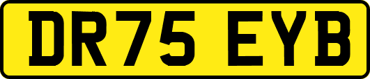DR75EYB