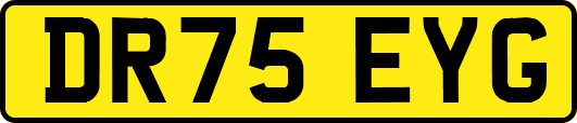 DR75EYG