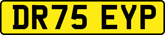 DR75EYP