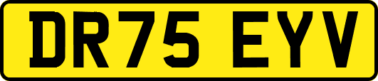 DR75EYV