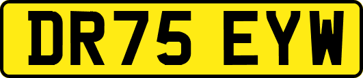 DR75EYW