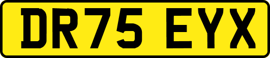 DR75EYX
