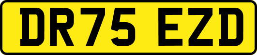DR75EZD