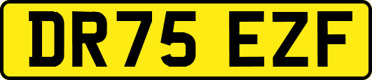 DR75EZF