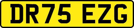 DR75EZG