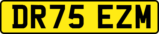 DR75EZM