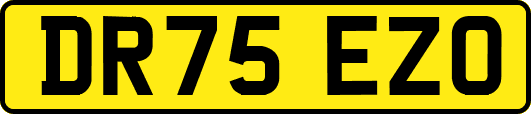 DR75EZO