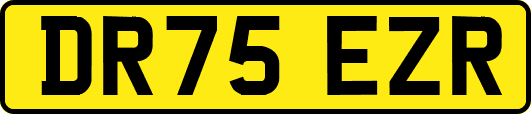 DR75EZR