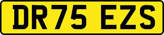 DR75EZS