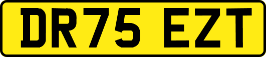 DR75EZT