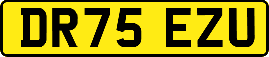 DR75EZU