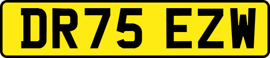 DR75EZW