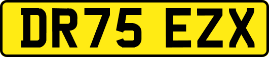 DR75EZX