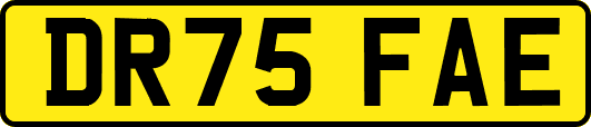 DR75FAE
