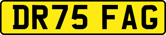 DR75FAG