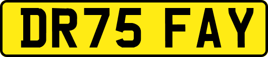 DR75FAY