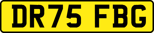 DR75FBG