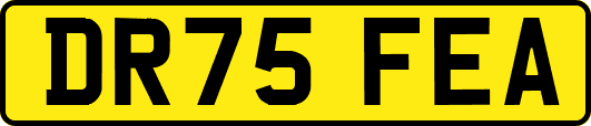 DR75FEA