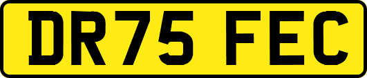 DR75FEC