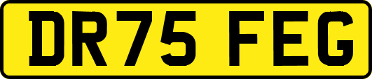 DR75FEG