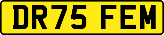 DR75FEM