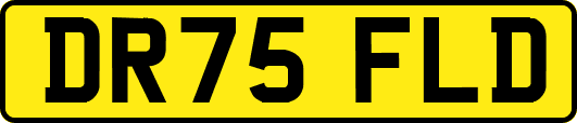 DR75FLD