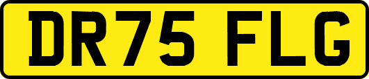 DR75FLG
