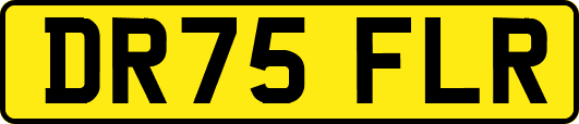 DR75FLR