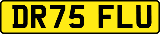 DR75FLU