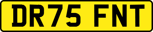 DR75FNT