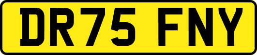 DR75FNY
