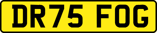 DR75FOG