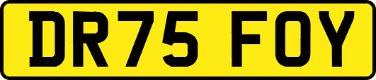 DR75FOY