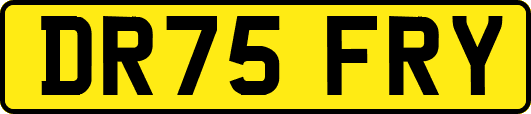 DR75FRY
