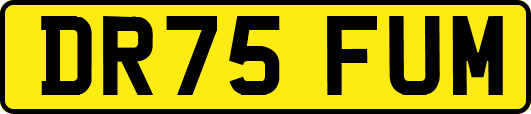 DR75FUM