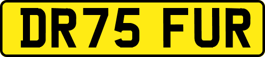 DR75FUR